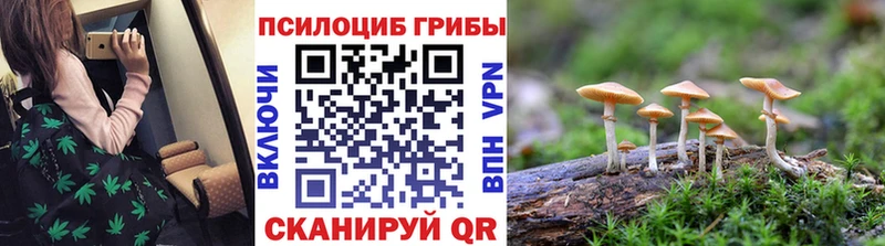 наркотики KRAKEN сайт Псилоцибиновые грибы Magic Shrooms Костомукша