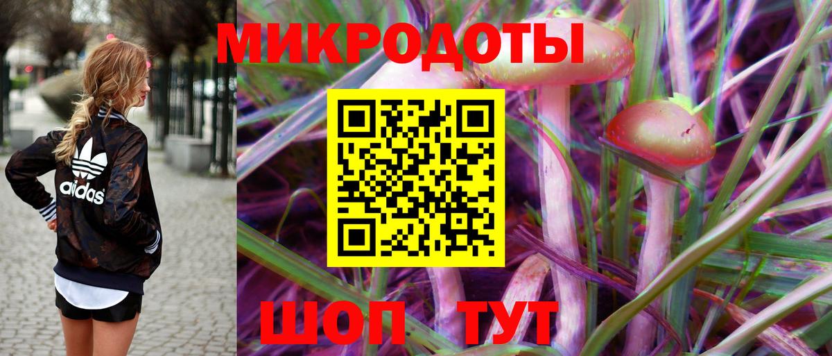 Псилоцибиновые грибы Cubensis Костомукша