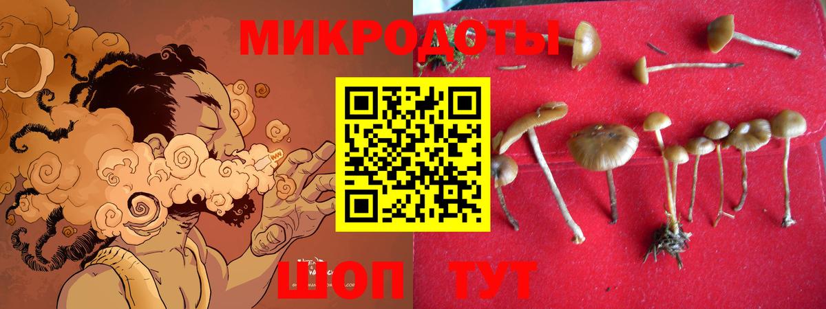 Псилоцибиновые грибы ЛСД  Вход с VPN  цены   Костомукша 